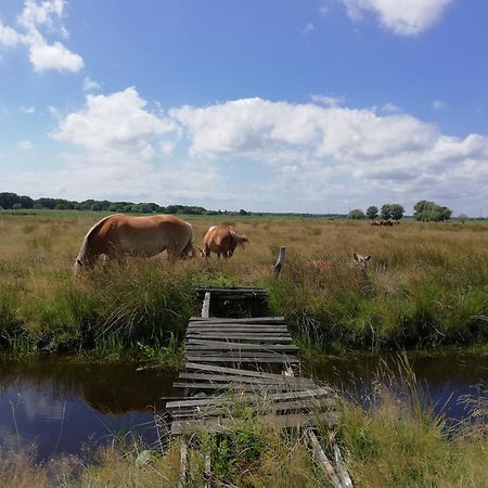 Dom Goscinny Ptaszarnia - Natura-Free Parking Swinemünde Exterior foto