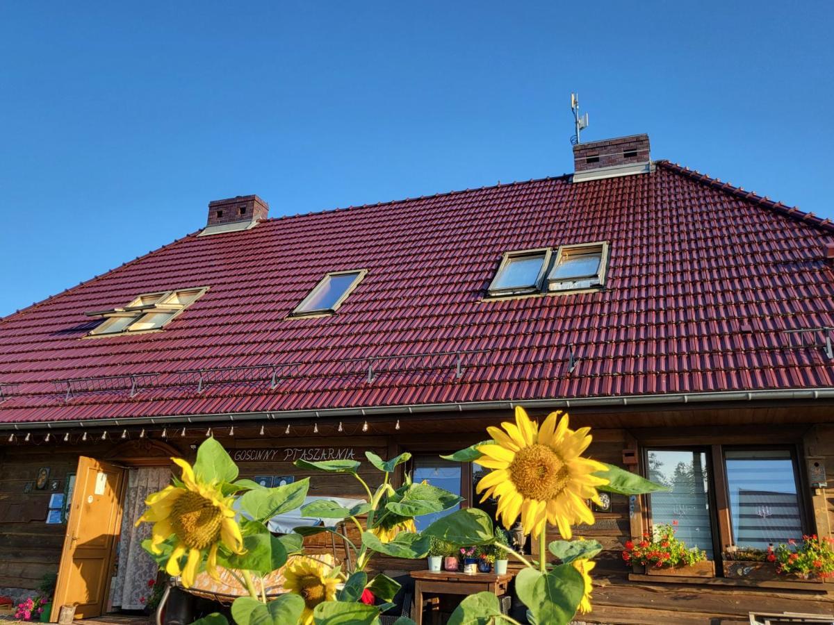 Dom Goscinny Ptaszarnia - Natura-Free Parking Swinemünde Exterior foto