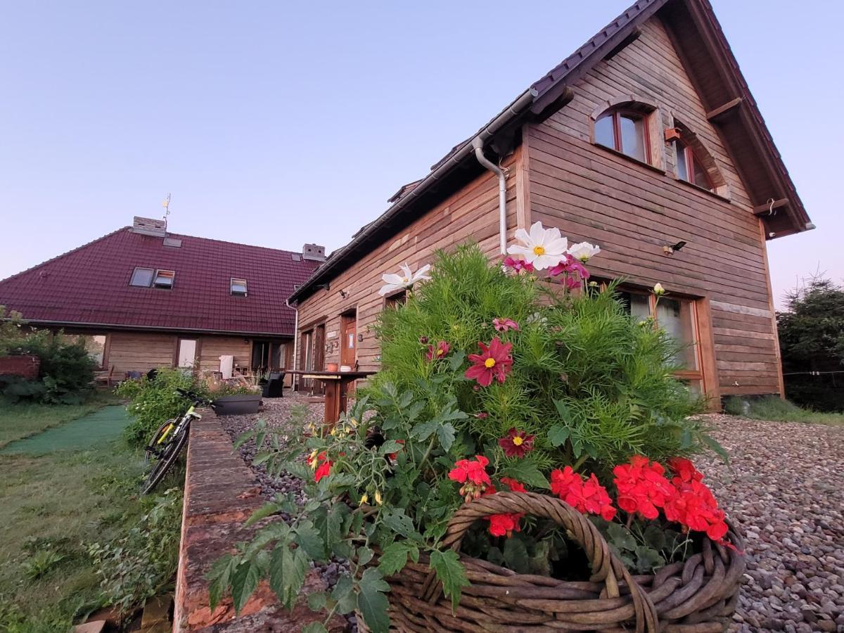 Dom Goscinny Ptaszarnia - Natura-Free Parking Swinemünde Exterior foto