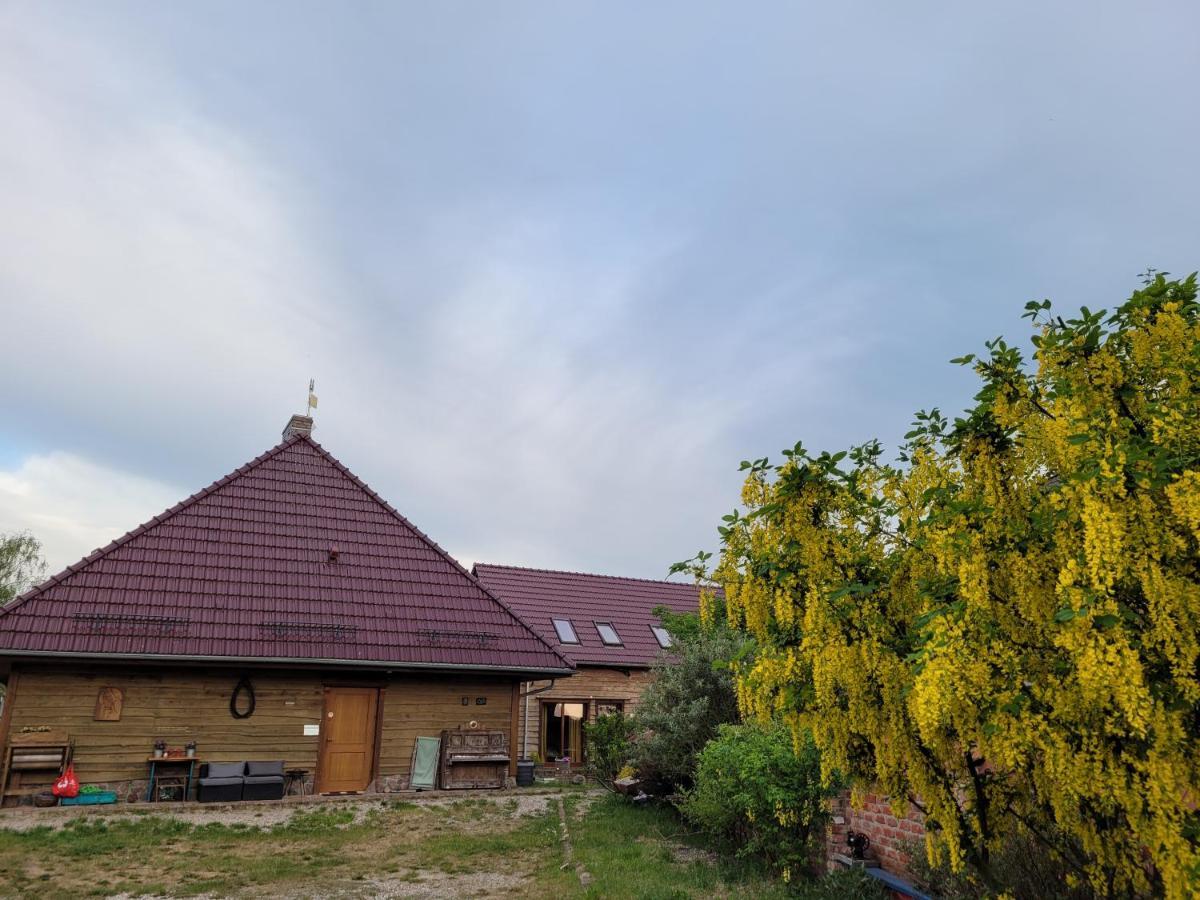 Dom Goscinny Ptaszarnia - Natura-Free Parking Swinemünde Exterior foto