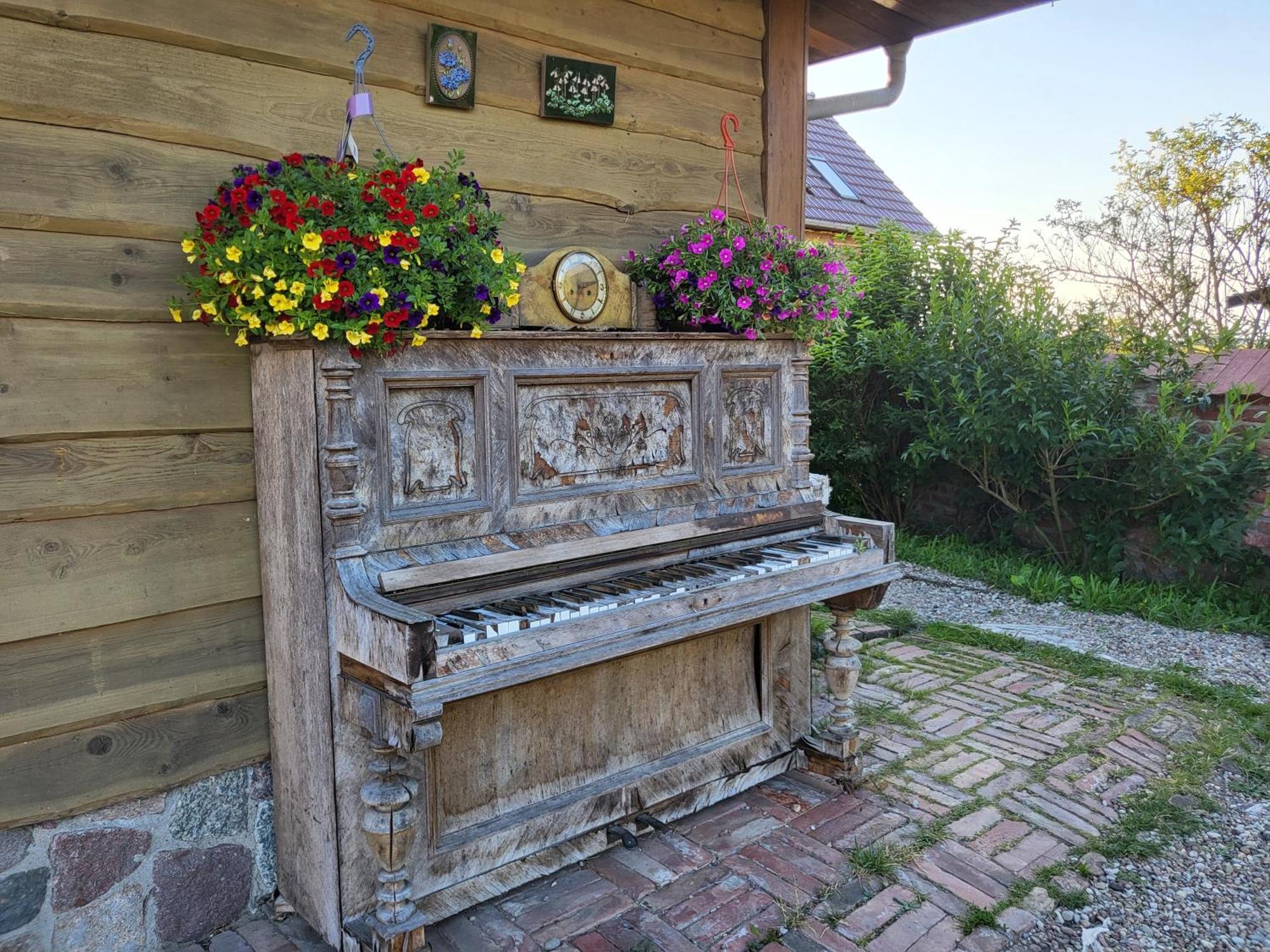 Dom Goscinny Ptaszarnia - Natura-Free Parking Swinemünde Exterior foto