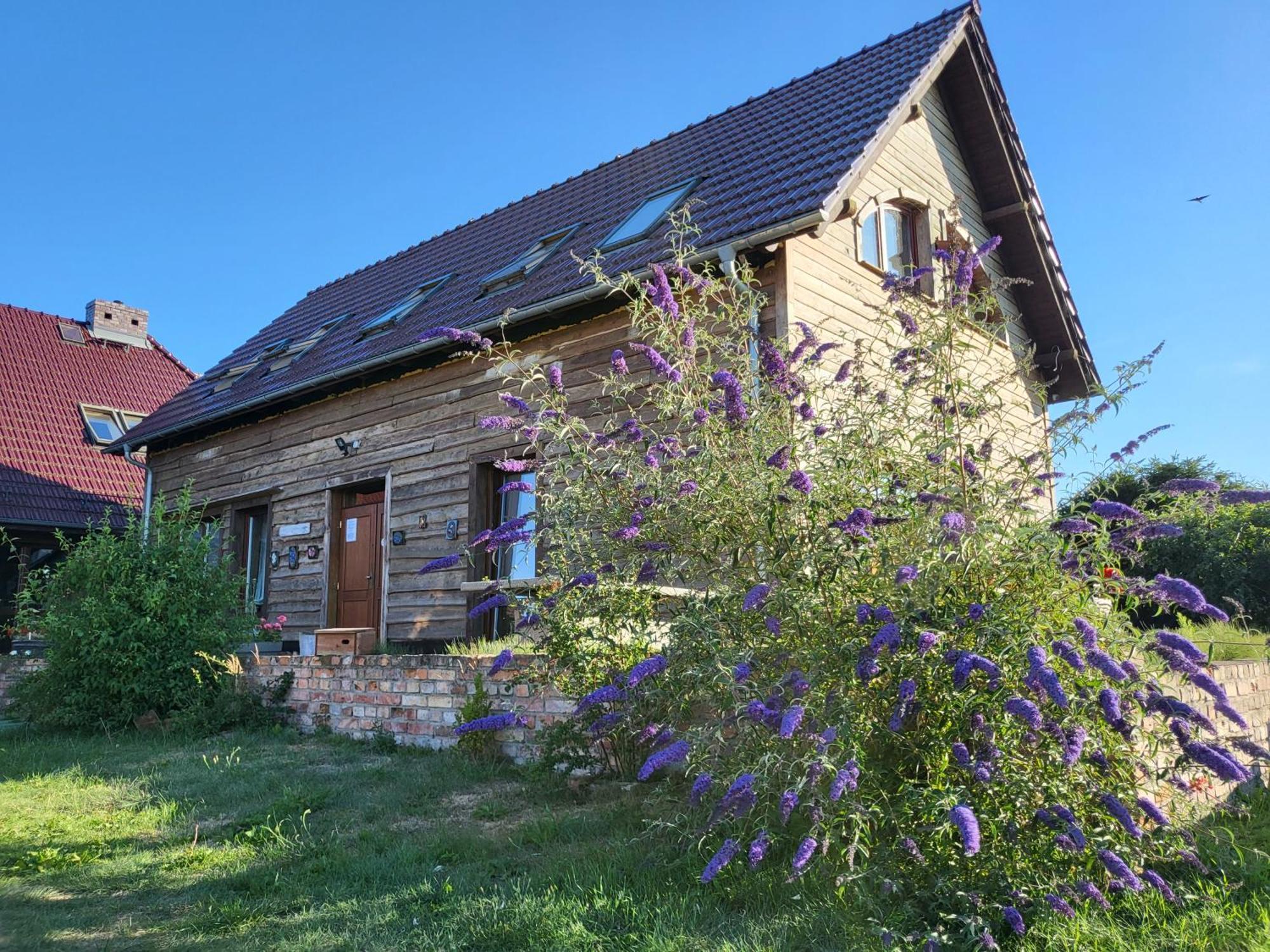 Dom Goscinny Ptaszarnia - Natura-Free Parking Swinemünde Exterior foto